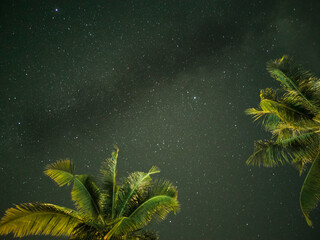 Fototapeta na wymiar galaxy and coconut trees background