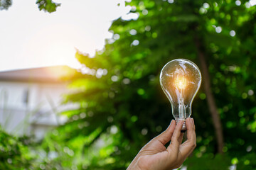 Light bulbs that grow, in the concept of energy in nature