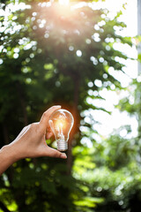 Light bulbs that grow, in the concept of energy in nature.