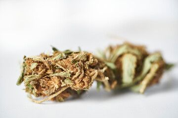 Marijuana flower bud, recreational drug. Medical Cannabis 