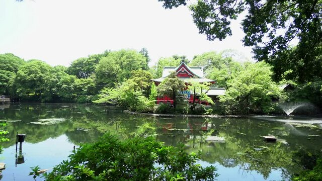 This is a Shinto temple in the middle of the Kichijojii Park in Tokyo, Japan. These temples are always surrounded by a beautiful nature that in summer shows an intense refreshing green.