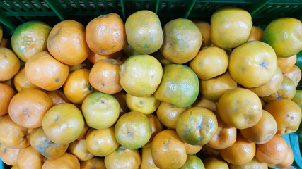 Fresh orange fruit is ready to eat and sell