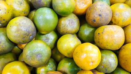 Fresh orange fruit is ready to eat and sell