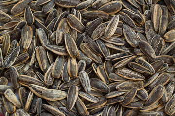 Organic sunflower seeds for background uses,flat layout