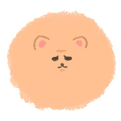 ふてくされたポメラニアン