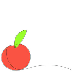 Orange fruit background design. Vector illustration