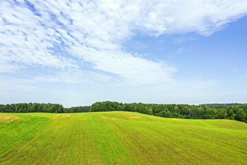 rural aerial landscape on sunny summer day. green field with forest on horizon under blue sky.