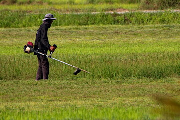 man mowing grass