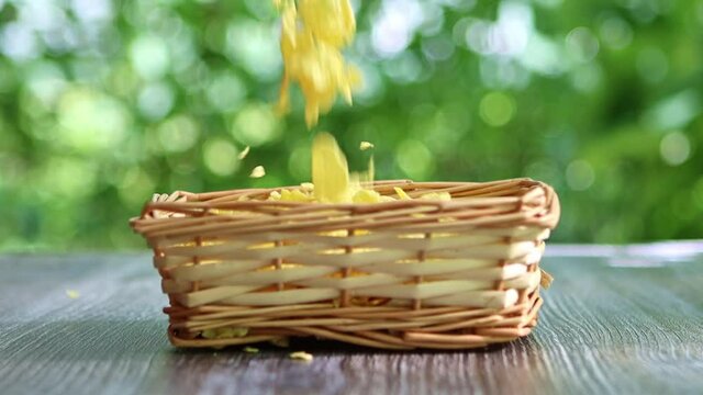 corn flakes falling into wickered bowl standing on table in garden slow motion
