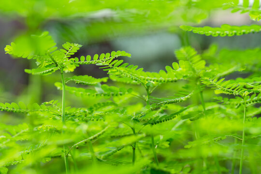 87 Best Hazardana Images Stock Photos Vectors Adobe Stock