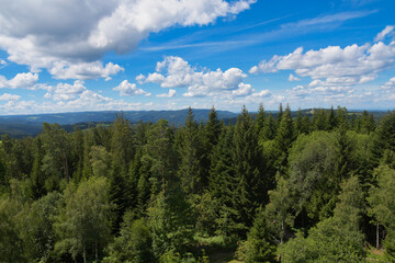 Ausblick über die Weiten des Schwarzwaldes vom Turm in Fohrenbuehl