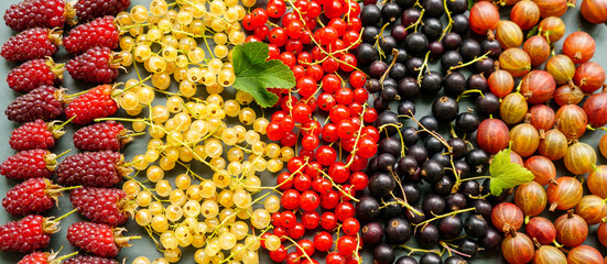 Summer harvest of berries - raspberries, gooseberries, black, yellow and red currants