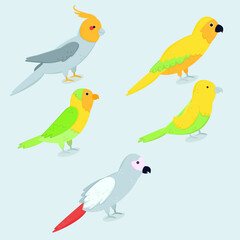 Obraz na płótnie Canvas bird hand drawn collection flat design