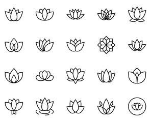 Lotus line icon