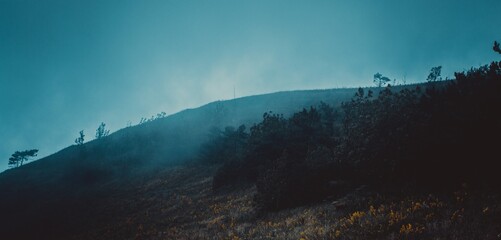 gloomy mountains in the fog