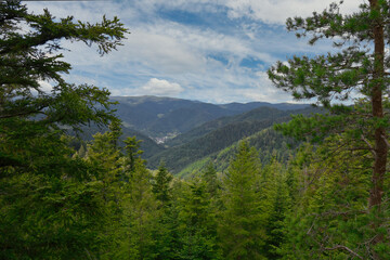 Obraz premium Hornbergblick vom Fohrenbühl im Schwarzwald