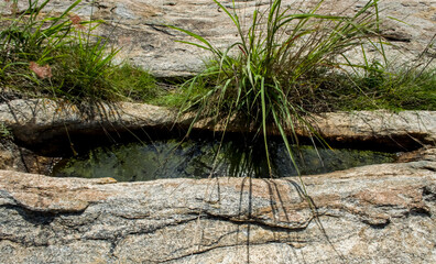 Green Mountain Water it found at hilltop area, Rain water stored at stone hole of hill