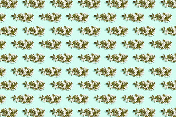 Apple tree floral pattern. Bright summer background. Spring white fruit flowers. Repeat spring texture. Creative trend composition. Many springtime elements. Green mint