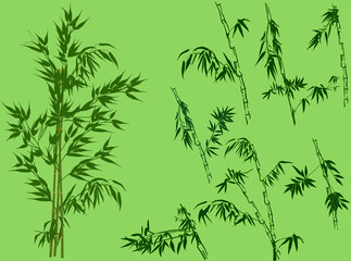 large set of dark bamboo branches on green