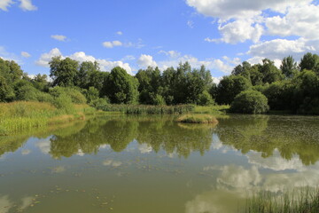 Fototapeta na wymiar Summer landscape with a small pond and clouds reflections in it