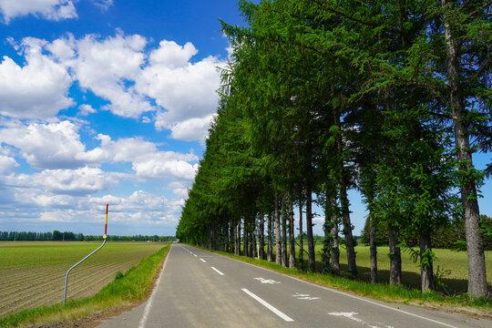 41 最適な スノーポール 画像 ストック写真 ベクター Adobe Stock