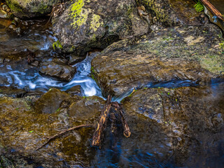 Creek Rocks and Logs