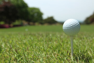 a golf ball on a golf course