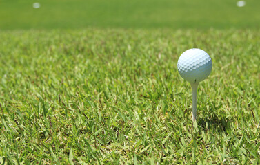 a golf ball on a golf course