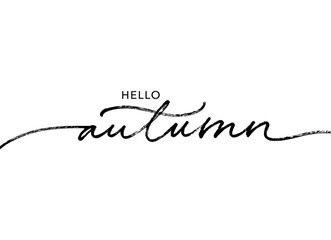 Hello Autumn lettering text. Ink brush pen vector calligraphy. Hand lettering seasonal phrase. Saying handwritten modern brush calligraphy. Fall season handwritten linear style. Welcome autumn banner.