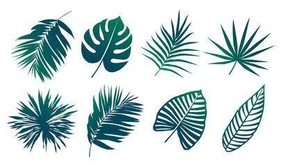 Tropical Leaves Vector Set