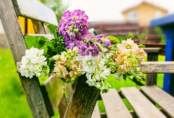 Fototapeta na wymiar Bouquet on bench