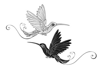 Two Contour Hummingbirds