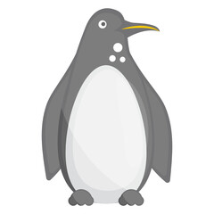 
Icon of a large flightless seabird, penguin vector 
