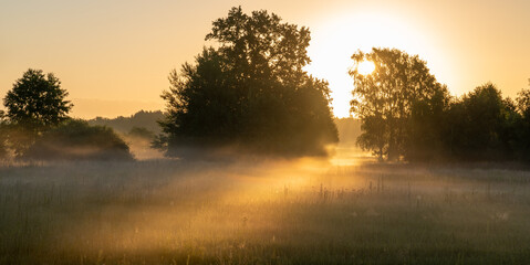 the rising sun illuminates the meadow and forest on a foggy morning