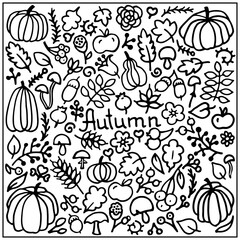 Autumn Fall Floral doodle set, vector isolated hand drawn elements. Black outline 