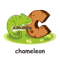 Chameleon Animals Wooden Alphabet Education Letter C