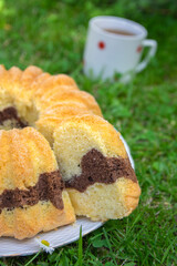 Gugelhupf in green grass, very tasty edible two-colored Czech sweet cake called babovka, ready to eat, daisy flower, tea break