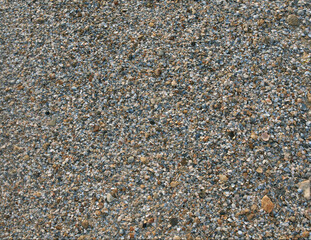 small shell rock, beach of the Azov sea, gulf coast on a sunny summer day