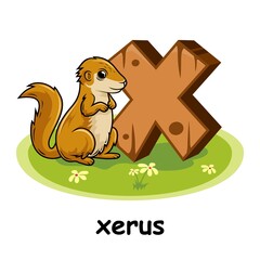 Xerus Wooden Alphabet Education Animals Letter X