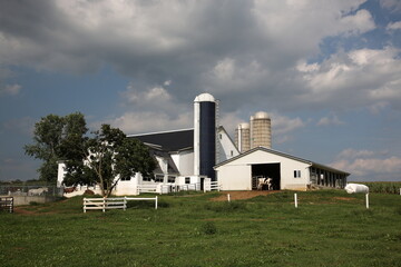 Fototapeta na wymiar View of Amish Farm Land and farm house with fence and silo under blue sky in Lancaster County, Pennsylvania, USA