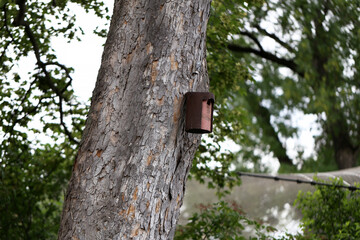 The birdhouse hangs on a high tree