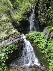 waterfall in the forest