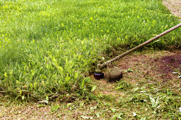 the trimmer mows the grass