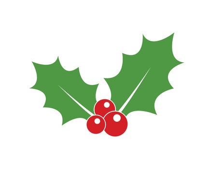 Holly berry icon. Christmas icon. Vector holly berry icon.  Holly berry leaves illustration. 