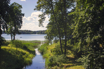 Fototapeta na wymiar Beautiful natural landscape. Forest behind a lake in summer time