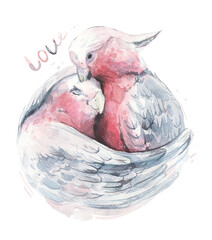 Pink parrot. Pink parrots cuddle. Watercolor illustration.  Love. Pink cockatoo.  © fedorovava