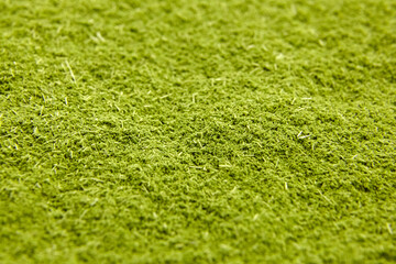 Green barley grass powder texture background.