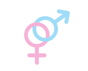 Male and female sign. Pink and blue gender icon. Gender icon.  Gender icon. 