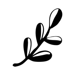 Vector doodle illustration of potherbs. Hand drawn healthy farm vegetable isolated on white background. Organic veggie grown in the garden.