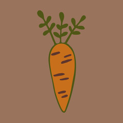 Vector doodle illustration of carrot. Hand drawn healthy farm vegetable isolated on white background. Organic veggie grown in the garden.